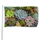 thumbnail image 1 of Plantas Suculentas Bandera impresa con temática, regalo perfecto para fanáticos, amigos y familiares, y adecuada para actividades al aire libre e interiores, decoraciones de fiesta. 60*90CM, 1 of 6