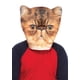 thumbnail image 1 of Máscara de gato Foam Angry Orange Leg Avenue para hombres adultos y adolescentes, 1 of 2