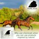 thumbnail image 4 of Pure Sole Barro Natural para Cascos 907 g Cuidado Natural, 4 of 6