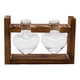 thumbnail image 4 of Jarrón Hidropónico, Macetero De Mesa, Jarrón De Cristal Para Estantería, Sala De Estar, Oficina, 2 Jarrones De Cristal, 4 of 5