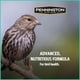 thumbnail image 4 of Semillas de aves silvestres Pennington Pride, mezcla de pinzones silvestres, bolsa de 4,54 kg, 4 of 9