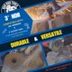 thumbnail image 3 of Disco de Diamante Bad Dog HDII 3" para Pulir, Lijar y Cortar, 3 of 8
