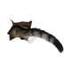thumbnail image 3 of Pegatinas De Gato Decorativas Realistas DIY Para Muebles Baño Guardería, 3 of 3