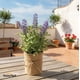thumbnail image 2 of Lavanda Planta Artificial con Macetero Decoración SunnyYard, 2 of 3