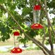thumbnail image 5 of Comedero para colibríes Shrdaepe 23 cm 285 ml, paquete de 2, 5 of 7
