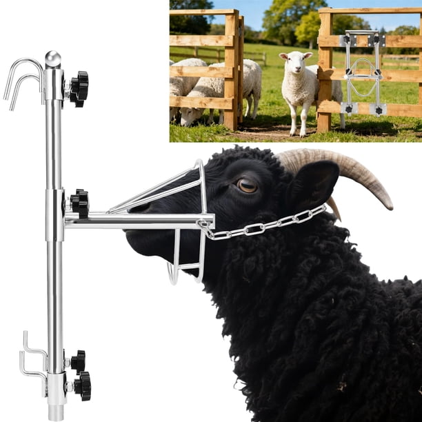 Soporte resistente para recorte de ganado ReuVibk para cabras/ovejas de acero inoxidable 304