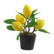 thumbnail image 2 of Plantas Artificiales Bonsai árbol Frutal En Maceta Para Decoración De Bodas Limón S, 2 of 3