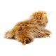 thumbnail image 3 of Peluche de peluche Douglas Wallace, vaca escocesa de las Tierras Altas, 3 of 6