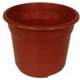 thumbnail image 1 of Pack De 24 Maceteros Vivero Cactus Florero De Plantas Terracota Redondo de 8 cm, 1 of 2
