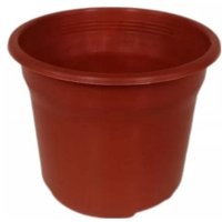 Genérico - Pack De 24 Maceteros Vivero Cactus Florero De Plantas Terracota Redondo De 8 Cm