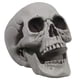 thumbnail image 1 of Calavera MOKRY PARTY 20 × 15 × 20 cm Blanca para Decoración de Halloween, 1 of 7