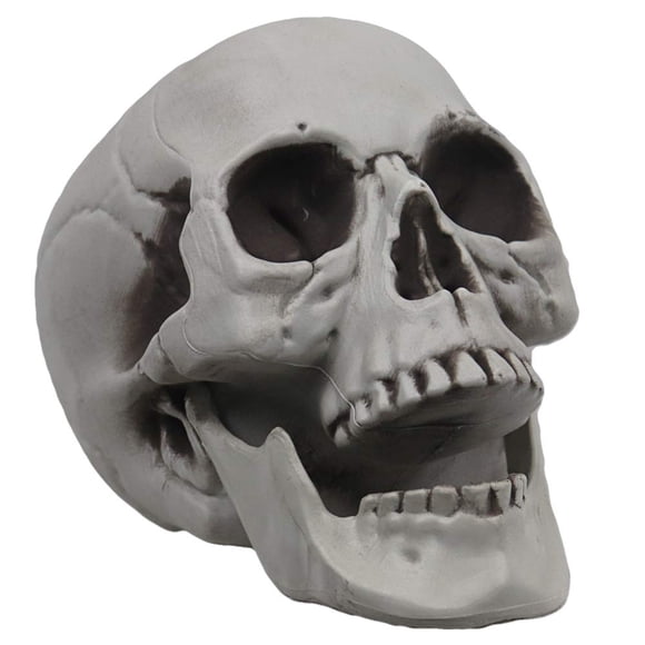 Calavera MOKRY PARTY 20 × 15 × 20 cm Blanca para Decoración de Halloween