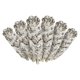 thumbnail image 1 of Incense Garden - Incienso de Salvia Blanca 10 cm (Pack de 6), 1 of 5