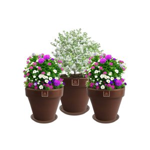 Mestiza - Set De 3 Maceta Kony 15Cm Morena Natural Y Sus Platos