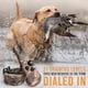 thumbnail image 2 of Collar de adiestramiento para perros SportDog Brand 425, 500 m, resistente al agua, 2 of 8