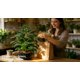 thumbnail image 5 of Planta Artificial Ewtogift 41 cm Maceta Negra con Ribete, 5 of 8