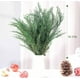 thumbnail image 5 of Ramas de pino real preservadas, agujas de pino naturales de 43 cm, plantas verdes, tallos de pino de 95 g, púas de pino perenne para guirnaldas navideñas, decoración del hogar, bodas y arreglos floral, 5 of 8