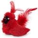 thumbnail image 1 of Juguete para gatos OurPets Play-N-Squeak Real Birds con hierba gatera y sonido, 1 of 4