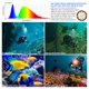 thumbnail image 5 of Lámpara de buceo LetonPower Turbo S Pro, 13000 lúmenes, 100 m, resistente al agua, 5 of 8