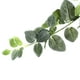 thumbnail image 3 of Planta Artificial Colgante Summer 190CM, 3 of 3