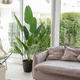 thumbnail image 2 of Planta ave del paraíso artificial 180 cm, 2 of 3