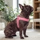 thumbnail image 3 of Arnés Petlounge Easy Glam Mascotas Perros Talla M rosa, 3 of 9