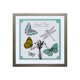 thumbnail image 1 of Cuadro Lamina Mariposa Libélula 50x50 cm, 1 of 3