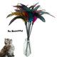thumbnail image 2 of Juguetes para Gato CATENESS 6 UNIDADES Varita de Plumas Interactiva 45 cm, 2 of 6