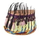 thumbnail image 5 of Modelo de simulación de piel de cabello, modelo de enseñanza Modelo de cuerpo humano para aprendizaje de estudiantes Biología Juguete de aprendizaje, 5 of 5