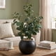 thumbnail image 3 of Planta Artificial Ficus Decorativa Maceta Decoracion Hogar gris oscuro, 3 of 8