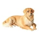 thumbnail image 1 of Escultura De Perro Realista, Regalos Coleccionables, Decoración Artística, Figura De Animal, Golden Retriever, 1 of 3