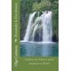 thumbnail image 1 of Libro CREATESPACE Rozando la Excelencia: Cultiva tus Valores, 1 of 1