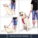 thumbnail image 3 of Correa para Perro Plutus Pet Doble Manilla 2.8 mm 1 pulg, 3 of 3