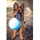 thumbnail image 2 of Juguete para perro Jolly Pets 20 cm Blueberry Bounce‑n‑Play, 2 of 3