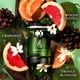 thumbnail image 4 of Perfume EMBAROUGE Vetiver DeLuxe Eau de Parfum 100 ml para hombre, 4 of 9