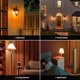 thumbnail image 4 of Bombilla LED Naranja JAHEKS 9W Pack de 2 unidades Base E26, 4 of 7