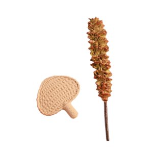 Magideal - Juego De Limpieza De Casa De Muñecas En Miniatura, Decoración De Fanáticos En Miniatura, 1:12 Escena De Casa De Muñecas, Modelo De Plumas, Modelo,