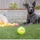 thumbnail image 4 of Pelotas de tenis Hyper Pet de 2,5 cm para perros, paquete de 12 para hacer ejercicio, 4 of 8