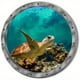 thumbnail image 3 of Cute 3D Sea Turtle Wall Decal for Bathroom, Glass Door, Bathtub, Washer, Nursery, Bedroom, Kids Room - Cartoon Animal Vinyl Sticker for Fun and Decorative Touch, 3 of 5