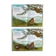 thumbnail image 5 of Reinos Minúsculos de Editorial Edelvives, 5 of 6