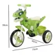 thumbnail image 3 of Triciclo Infantil Dinosaurio T-rex Verde Con Luz Y Sonido, 3 of 3