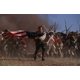 thumbnail image 4 of Película Sony Pictures The Patriot 4K UHD Blu-ray Edición Steelbook, 4 of 5