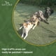 thumbnail image 5 of Césped artificial Natura PowerRun 10376807 para perros de 0,5 m x 4,5 m, 5 of 7