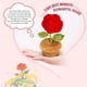 thumbnail image 3 of Set de regalo LUICONMO para el Día de San Valentín romántico para ella, 3 of 7
