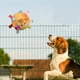 thumbnail image 4 of 1pc Color Random Pet Sounding Cloth Ball Toy For Dog Molar Toy Puppy Dog Interactive Toy, 4 of 4