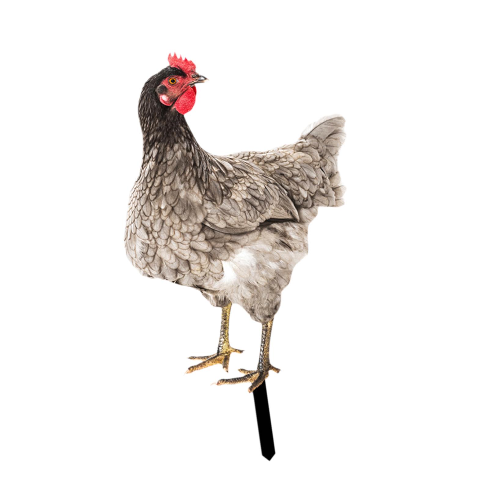 Ioensy - Estatua De Jardín De Pollo, Estaca, Adorno De Césped Para Gallina, Regalo Exterior, Patio De Gallo, Estilo Artístico D