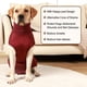 thumbnail image 3 of Pañal Para Perros De Cuerpo Completo Con Pañales Para Cachorros Traje De Recuperación De Cirugía Para Perros Masculinos Y Femeninos (l), 3 of 3
