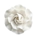 thumbnail image 3 of Flores de Cerámica para Colgar en la Pared, Camelia, 3 of 3