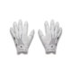 thumbnail image 1 of Guantes de fútbol Under Armour YMD 100 BLANCO, 1 of 2