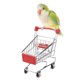 thumbnail image 2 of Set de juegos para aves y loros, 2 of 5